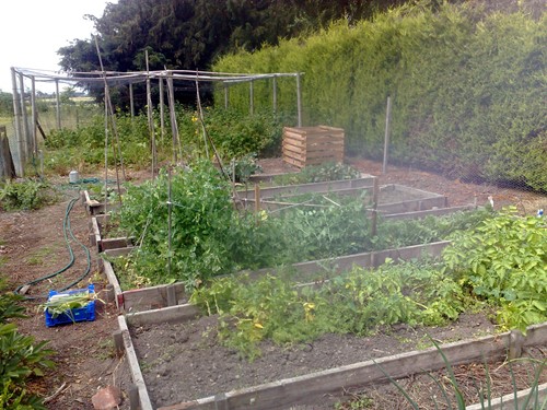 view of our messy old allotment, sadly now gone